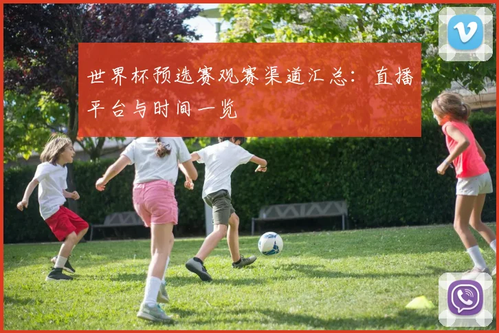 世界杯预选赛观赛渠道汇总：直播平台与时间一览