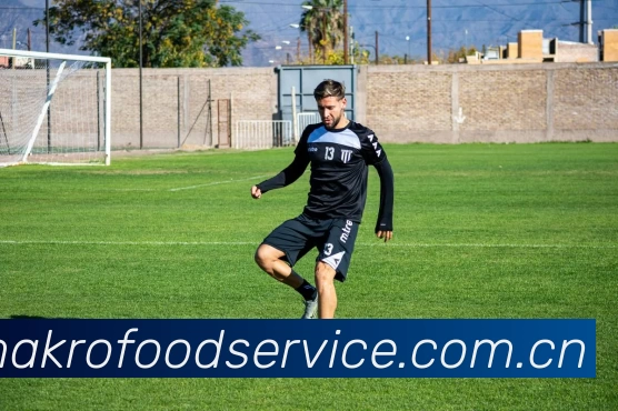 压球首页平台生态图